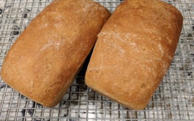 Sourdough Starter, Step 1 of Sourdough Bread