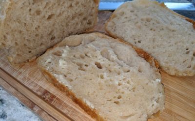 Sourdough Bread (No-Knead Loaves)